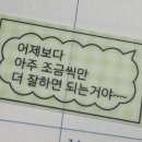 폴라워 이미지