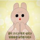 영덕회식당(시청점) | 영덕회식당 시청점 종로점 비교 | 시청역 물회 맛집, 물회 하나는 진짜였다 솔직후기