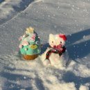 11월 | 어쩌다 겨울☃️