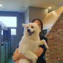 멍품유치원 이미지