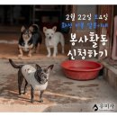 유미사 이미지