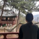 비봉진돗개 | 금선사 템플스테이 후기/서울 북한산/1박 2일 휴식형