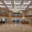 6347 | 서귀포 숙소 추천_소노캄 제주| 이스트동 5층 숙박 후기&amp; 부대시설 | 인근 맛집 추천까지