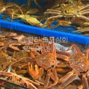 노량진수산시장 줄포상회 대게 예약 방법 / 노량진 갑각류 시세 및 최저가 정보