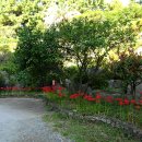 중문오렌지파크 이미지