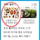 산채골 Daum카페