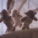 대전광역시대덕구보건소 | 대전 보건소 산전검사 동구 보건소 방문 후기