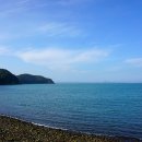 세포삼거리 이미지