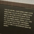 꿈꾸는약국 | 국립중앙박물관 &lt;비엔나 1900, 꿈꾸는 예술가들&gt; 관람 후기 - 평일 현장 구매, 할인 팁, 레오폴트 미술관