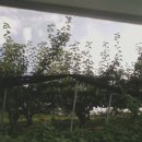 남성목장 이미지