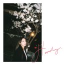 후디(Hoody)