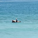 라메르펜션 이미지