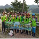 산방천 천안일보