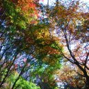 수안산약수터 이미지