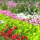 런던파크 이미지