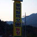 제이렌트카 네이버블로그