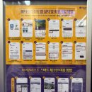하이원클럽 | 강원도 정선 하이원리조트 힐콘도 펫룸 애견 동반 여행 숙소