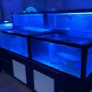 TNB 피트니스 센터 이미지