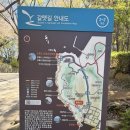 센텀병원 | 이제 아프지 말기! (센텀종합병원 수술 후기)