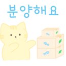 베베캣 고양이 이미지