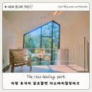 가평 더스테이힐링파크 아이랑 여행 수영장 동물원 별빛축제 까지 가족 커플 우정 여행 호텔 추천