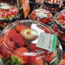 사남농협하나로마트 이미지