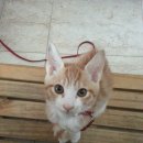 곰실화장실 이미지