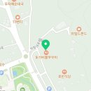 삐꾸네집