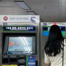 새절목장 | 202105 - (2) : 여름 같은 봄날의 일상