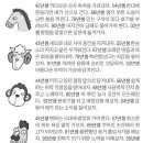 미리보는 내일의 운세(9월11일) 이미지