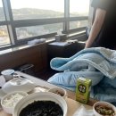 세브란스 동물병원 | 신촌세브란스병원 제왕절개 후기 3일차