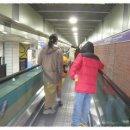 제부한빛 이미지