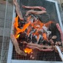 유빈민박 이미지