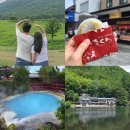 화산궁 | 내돈내산 후쿠오카 버스투어 추천! 유후인 온천 벳푸 당일치기 가성비 코스 가격 예약 후기