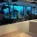 글리아이 이미지