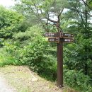 이화산등산로 이미지