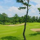 애플밸리 컨트리클럽 이미지