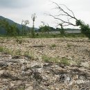 금강수변공원4 이미지