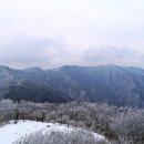 삼가-9 이미지