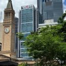 라인약국 이미지