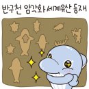 등재 이미지