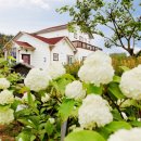 혜성펜션 이미지