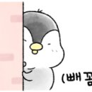 히든코인노래연습장 이미지