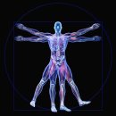 몸 사용 설명서 이미지