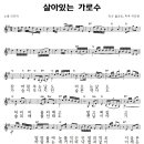 이미자 / 살아있는 가로수 C,D,G악보 이미지