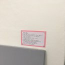 퍼피온리 이미지