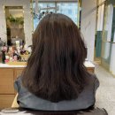 골든카클리닉 | 방배동미용실 박승철헤어스투디오 이수역점 카나토클리닉 후기