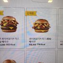 타입파운더 네이버블로그
