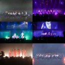 엘라스트 카카오 검색결과