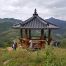 하동편백자연휴양림 이미지